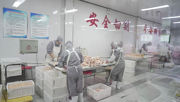 鸿裕助手文体卫生产业设备集采综合服务平台