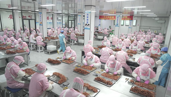 鸿裕助手企业核心服务系统登录与分销商端登陆后台